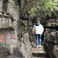 評論圖片 9