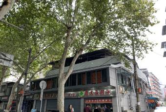 Yuan Da Tou Bao Zi user photo