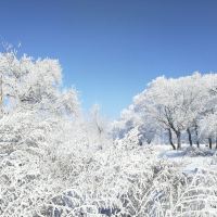 評論圖片 3