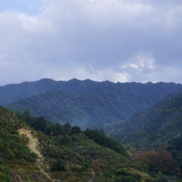 評論圖片 3