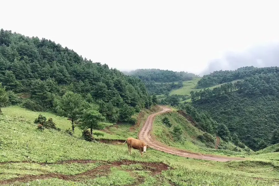 Liangwang Mountain