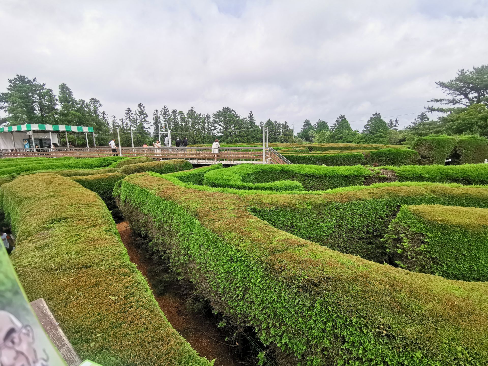 金寧迷宮公園景點評價 金寧迷宮公園門票 金寧迷宮公園優惠 金寧迷宮公園交通 地址 開放時間 金寧迷宮公園附近景點 酒店及美食 Trip Com