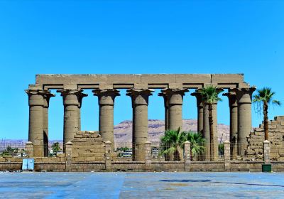 Temple d'Amon