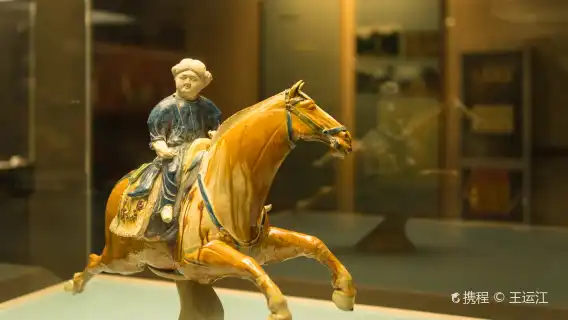 【入場門票必出】陝西考古博物館|西安碑林博物館|西安博物院+大咖導覽講解|西安交通大學（售罄可約）