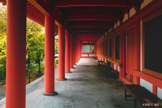 One-day trip to Sanjusangendo Hall + Kyoto National Museum + Nara National Museum + Nara Park in Kyoto, Japan