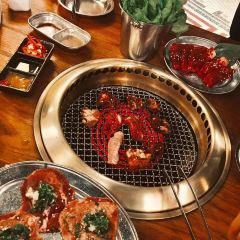 털보고된이 여행 사진