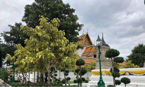 Wat Suthat