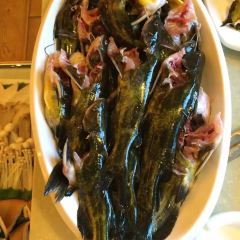 Zuimeimiaodonglaokailisuan Soup Fish (xichengdayuan) User Photo