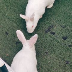 万禾都市农场 Brunch·Bistro(长宁来福士店) User Photo