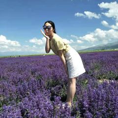 竹溪蛋炒饭 ảnh của người dùng