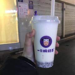 一只酸奶牛(北城天街店) User Photo