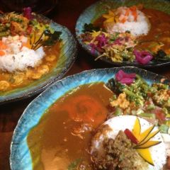 BOTANI:CURRY User Photo