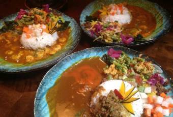 BOTANI:CURRY user photo