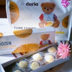 Durian Durian User Photo