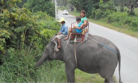 Pattaya Elephant Village