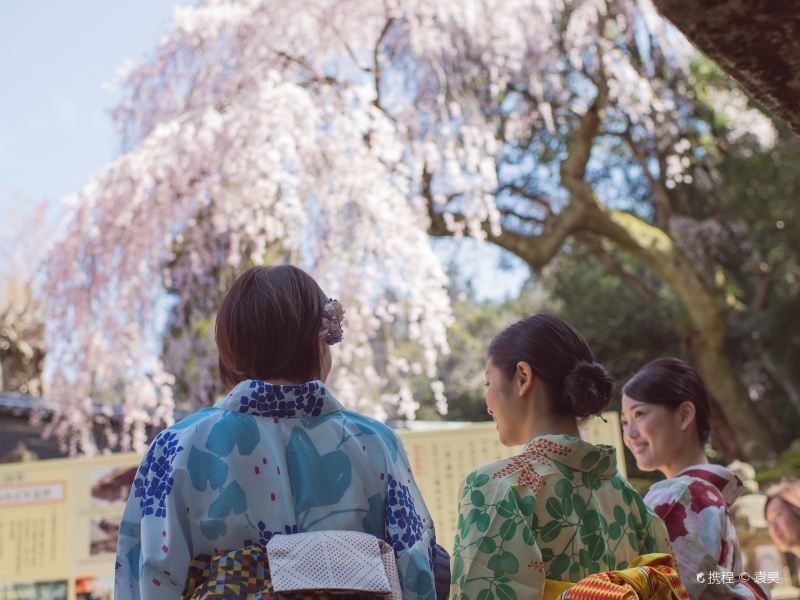 Nara Park