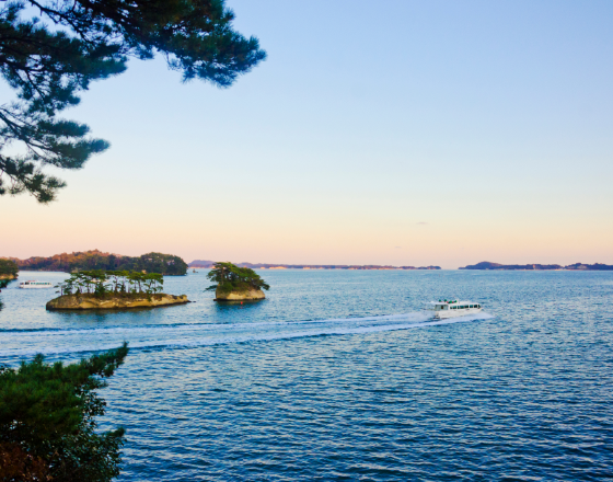 宮城郡 自由行套票