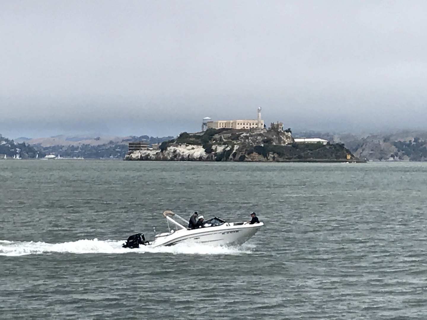 サンフランシスコ ファラロン諸島 評判 案内 トリップドットコム サンフランシスコ ファラロン諸島 評判 案内 トリップドットコム