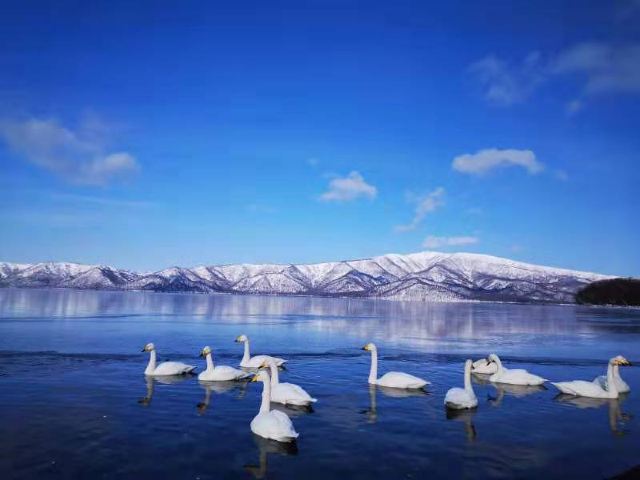 屈斜路湖砂湯