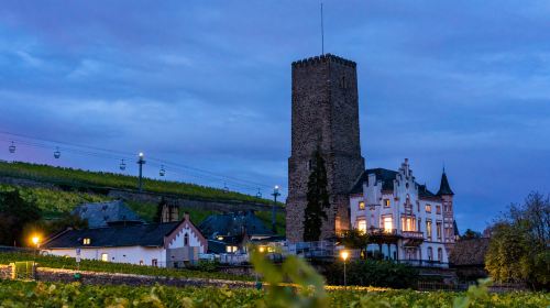 Rheingau Wine Museum Broemserburg Castle