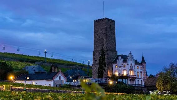 Rheingau Wine Museum Brömserburg Castle