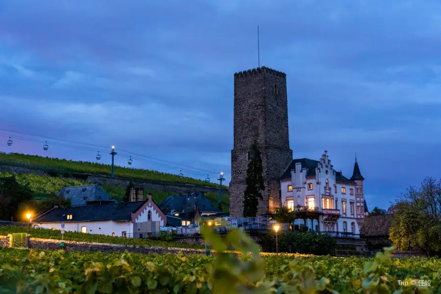 Rheingau Wine Museum Broemserburg Castle