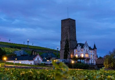 Rheingau Wine Museum Broemserburg Castle