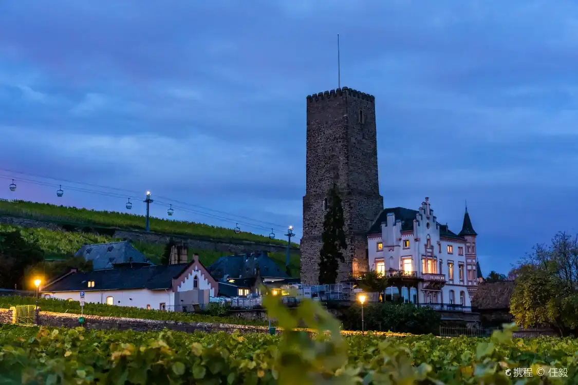 Hotels near Rheingau Wine Museum Broemserburg Castle