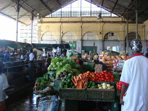 Fish Market