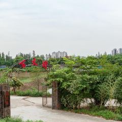 Baizhangyuan (leiliu) User Photo