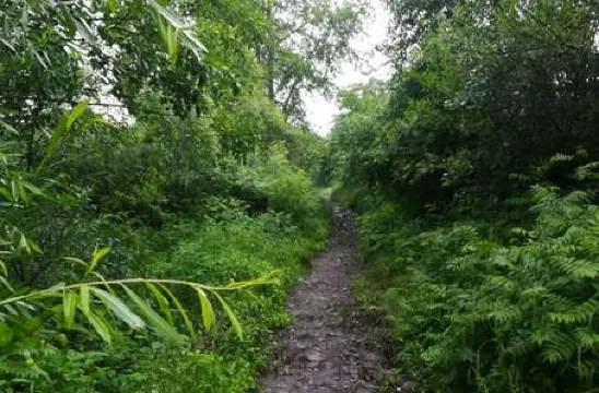 老鄉大煎餅連鎖店