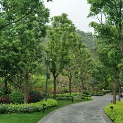 中海湯泉酒店·東坡館張用戶圖片