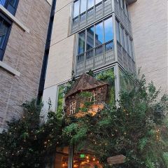 The Tree House User Photo