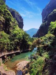 Wolong Valley