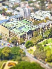 Musée de Sydney