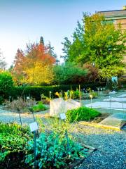 University of Washington Medicinal Herb Garden