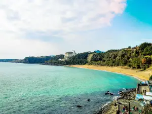 Top 6 Water Fun Attractions in Seogwipo