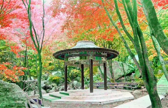 桐柏山淮源風景區門票成人