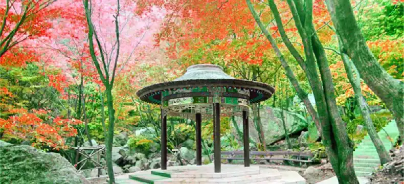 Hotels in Tongbai