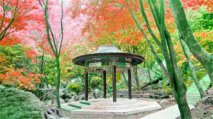 Tongbai County