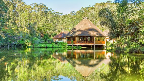 Andasibe-Mantadia National Park