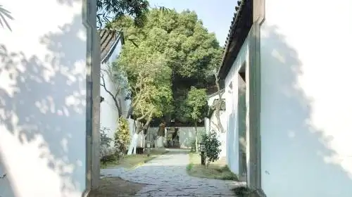 탕인위안 주변 호텔