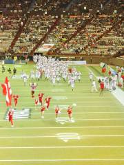 Aloha Stadium