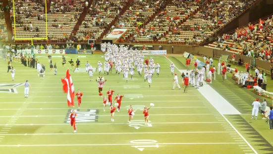 Aloha Stadium