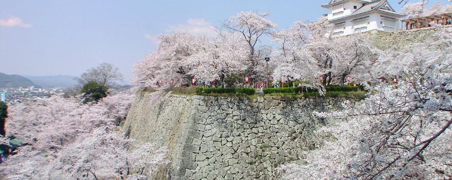Château de Fukuchiyama