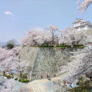 福知山城公園
