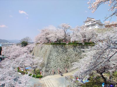 Castillo Fukuchiyama