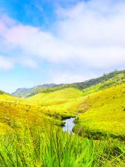 Horton Plains National Park