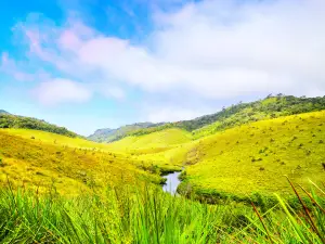 parco nazionale degli Altipiani di Horton