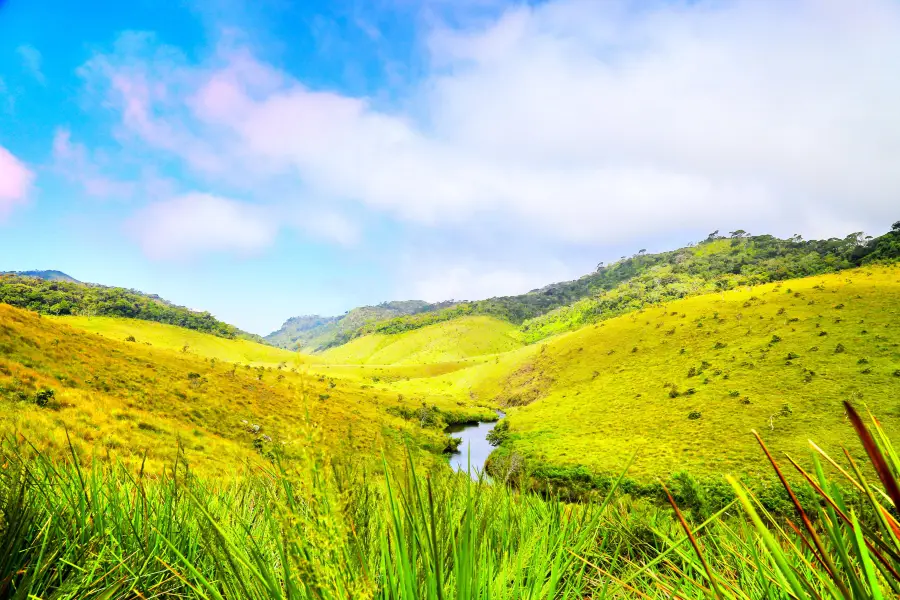 Horton Plains National Park